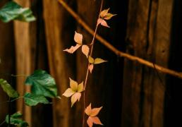 开运-亮点「十月·金秋」精彩(cǎi)活动集锦来啦~