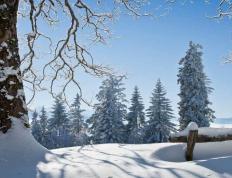 开云网址-中国电竞战队夺得世界冠军