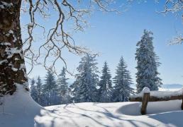 开云网址-中国电竞战队夺得世界冠军