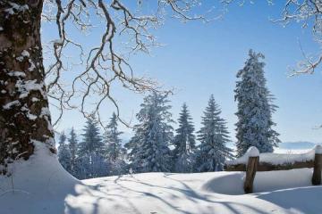 开云网址-中国电竞战队夺得世界冠军