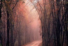 开云app-达万特·亚当斯领衔：NFL活跃达阵接球榜单与测验解析