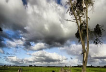 开云app-全运會(huì)｜国手发威 羽毛球团体赛四强落定