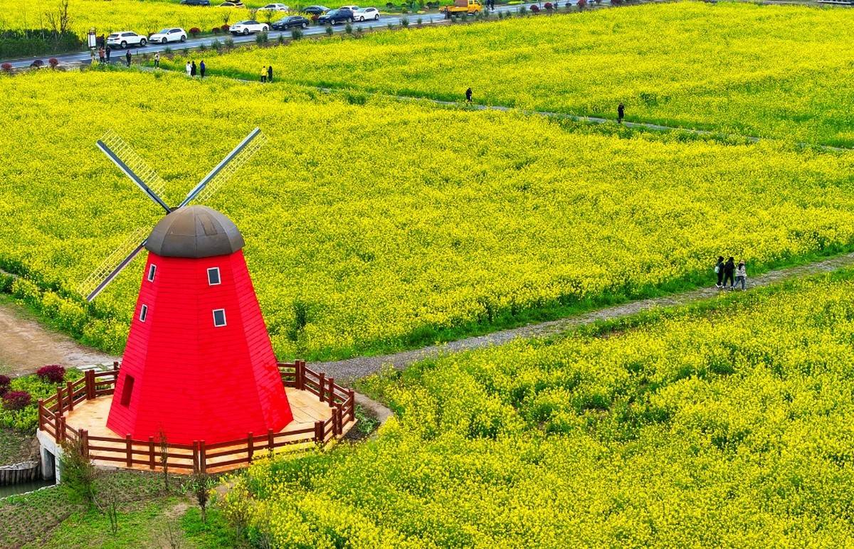 kaiyun-電(diàn)竞比(bǐ)賽(sài)吸(xī)引众多(duō)观众，電(diàn)竞産(chǎn)业蓬(péng)勃發(fā)展