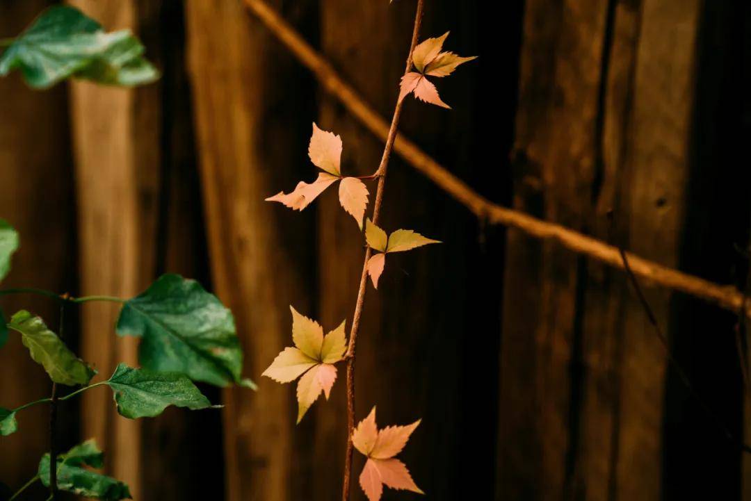 开运-亮点「十月·金秋」精彩(cǎi)活动集锦来啦~