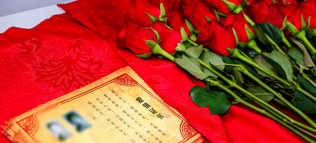 开云新闻-精彩回顾丨2025京师校友文化节集锦