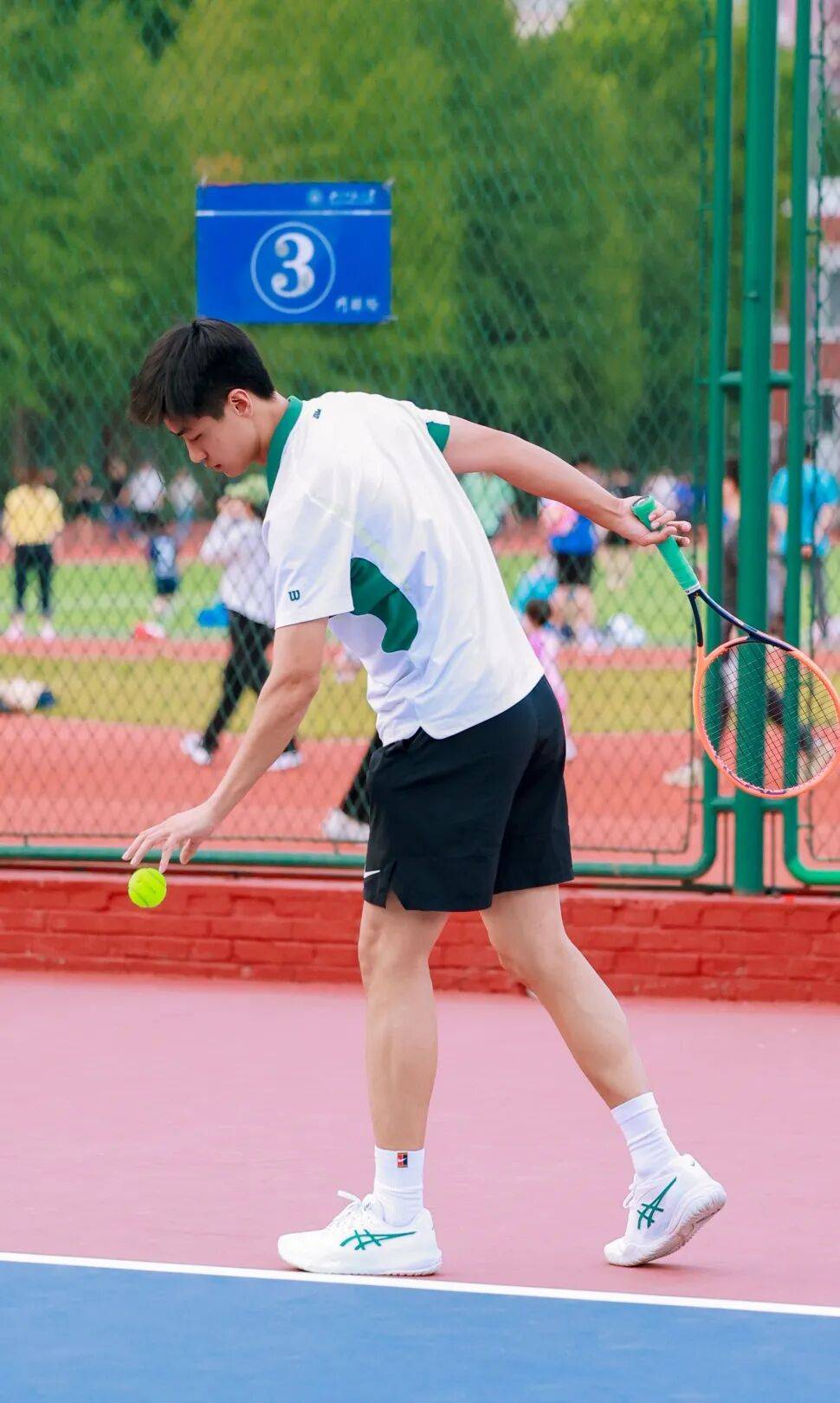 开云新闻-精彩回顾丨2025京师校友文化节集锦