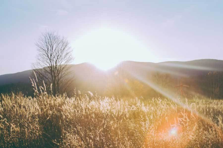 kaiyun-中国电竞战隊(duì)世界赛夺冠