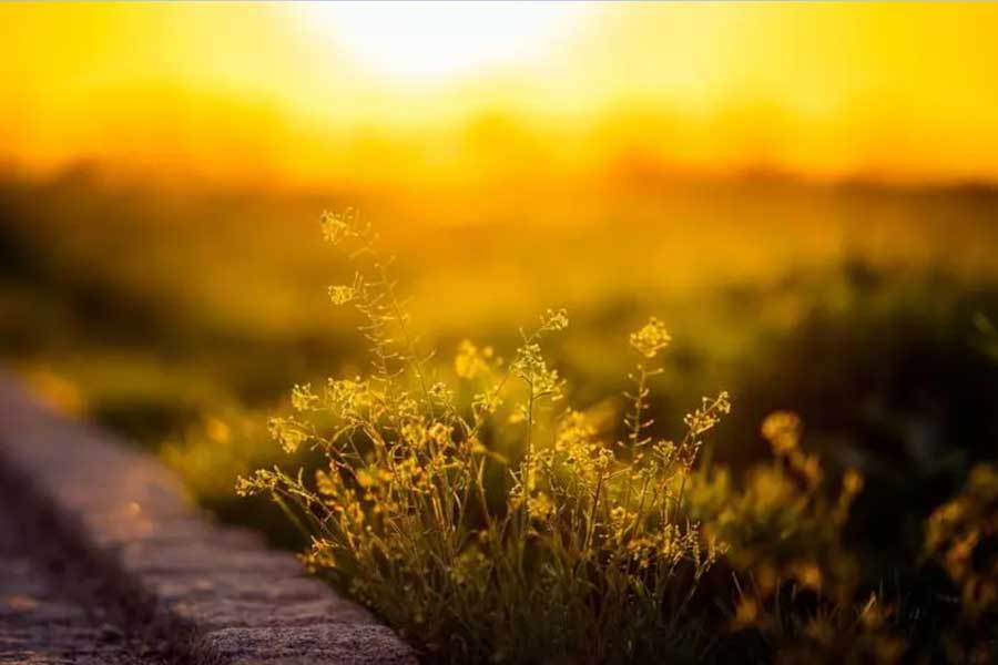 开云新闻-网球大滿(mǎn)贯赛事精彩對(duì)决